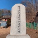 윤민헌 선생 묘 이미지