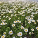 한라시티부동산공인중개사사무소 이미지