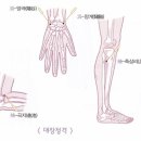월오사암침, 탈항, 항문 주위가 짓무르거나 항문이 빠지려고 하는 증상 치료 이미지