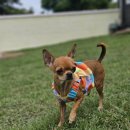 큰별유치원 이미지