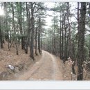 유금1리 이미지