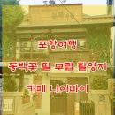 니어바이 이미지