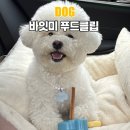 이지유치원 | 이갈이 장난감 추천 바잇미 이지 바이트 그립 삼킴방지 간식클립 후기