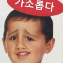 제이디지털랩 | 2025년 7월 일기.