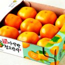 경상북도 농업기술원 이미지