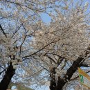 부구초등학교삼당분교장 이미지