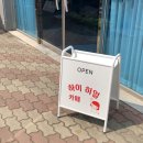 하이히얼 이미지