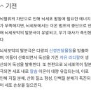 뇌졸중=다량의신경전달물질,칼슘 Usa 이름들 자체가 장애인들을 뜻함 ㅋ꼬사칭들을 밥먹듯이하는데도 이미지