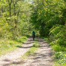 수산리-5 이미지