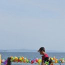 세레나농장 이미지