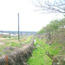 화정천1 이미지