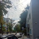 가락지구대 이미지