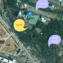 MBC울산문화방송 | [울산가볼만한곳] 동백명소 <울산MBC 장무공원> 실시간 개화상태