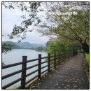 광교산공영자전거대여소(반딧불이쉼터) | 수원 광교저수지 둘레길 3.5키로 50분이면 되요^^편안히 걷기 좋고 벚꽃도 피는