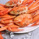 대진수산 - 고성군 성내로112번길 77 | 대진수산