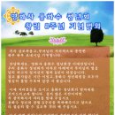 용화수 이미지