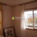 조현리 조현길 이미지