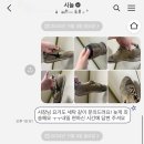 시늘 이미지