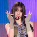 블루마리 이미지