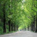 정부청사역 이미지