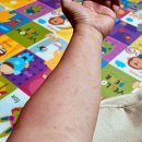 복기농장 이미지