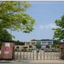 진위초등학교병설유치원 이미지