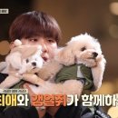 우진펫 이미지