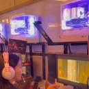 레드포스피시 이미지