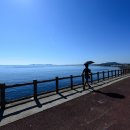 신양섭지코지해변 이미지