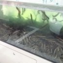 추오정남원추어탕 이미지