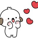 무룡산영한우 이미지