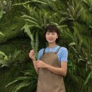 비비플랜트 이미지