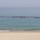 동해바다 이미지