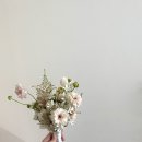 핑크파크장