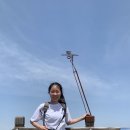 단대목 이미지