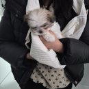 나래동물의료센터 이미지
