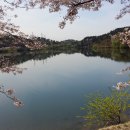 선암호수공원축구장 이미지