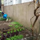 만복경로당 이미지