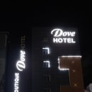 도브(Dove)호텔 | [울산여행]친구랑 울산으로 여행가요 5 마지막 숙소는 이곳! 더 부티크 도브 호텔THE BOUTIQUE DOVE HOTEL