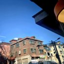 MK 게스트하우스 | [코제트하우스] 26년 2월 이야기🏡