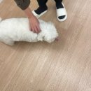 모드니25 이미지