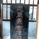 충신의사단비 이미지