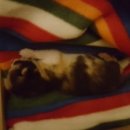 와르동물병원 이미지