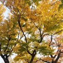 별감집민박 이미지