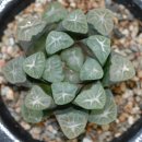 만상농장 이미지