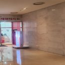 씨티렌터카 이미지