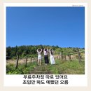 초입 | 제주 동쪽 오름 추천｜백약이오름 주차 팁과 초입 풍경 후기