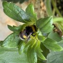 수정글로벌 이미지