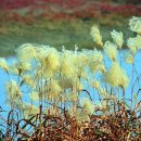 여로민박 이미지