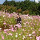 현대공원 앞 이미지